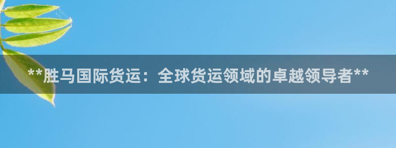 尊龙ag旗舰厅官网官方入口：**胜马国际货运：全球货运领