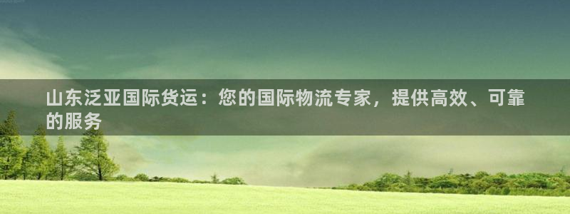 尊龙凯时平台入口：山东泛亚国际货运：您的国际物流专家，提