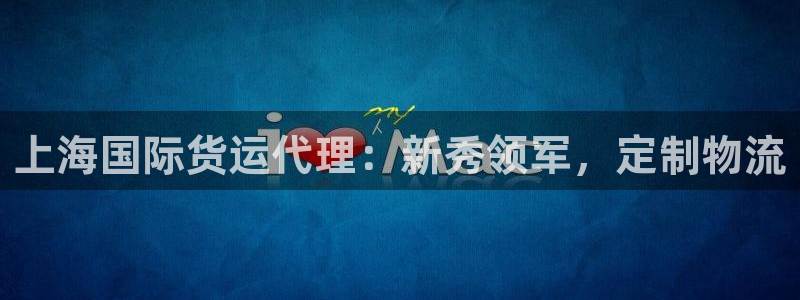 尊龙人生就是博ag旗舰厅：上海国际货运代理：新秀领军，定